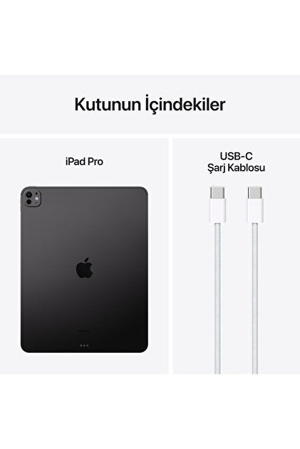 Apple 13-inch iPad Pro WiFi 2TB with Standard cam - Uzay Siyahı