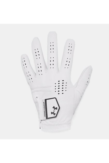 Erkek UA Drive Tour Eldiven 1382003-100