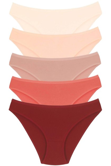 1001 Women's 5-Piece Daily Slip Panties V18