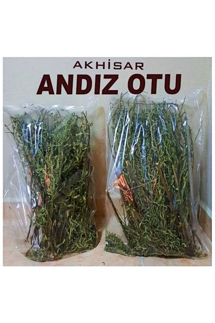 Andız Otu Akhisar Dallı Yapraklı, Yapışkan, Hakiki, Doğal, Orjinal, Kendimiz Topluyoruz.