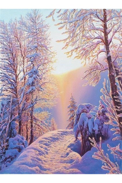 Karlı Orman Elmas Mozaik Tablo 43x58cm