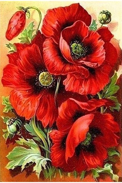 Kırmızı Gelincikler Elmas Mozaik Tablo 36x51cm