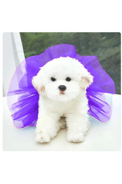 Dog Tutu Skirt / Dog Outfit / Dog Dress Tutu Tie-Up