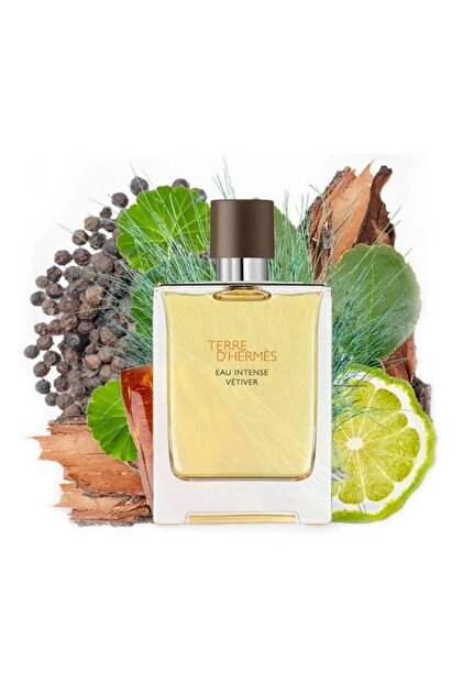 HERMES PARIS Hermes Terre D Hermes Eau Intense Vetiver Edp 100 ml