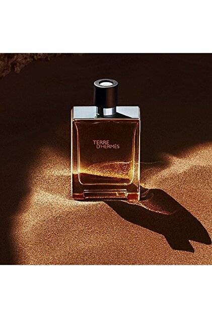 HERMES PARIS Hermes Terre D Hermes Eau Intense Vetiver Edp 100 ml