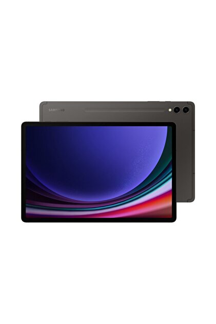 Samsung Galaxy Tab S9 12 Gb Ram 256 Gb Gray - Fiyatı, Yorumları