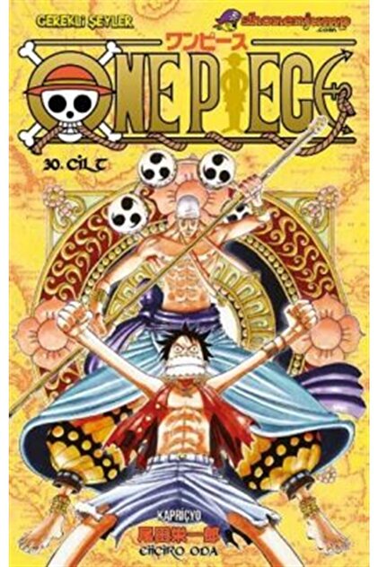 Gerekli Şeyler Yayıncılık One Piece Serisi 30 - Cilt Kapriçyo