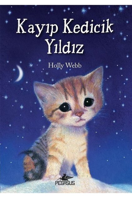Kayıp Kedicik Yıldız - Holly Webb