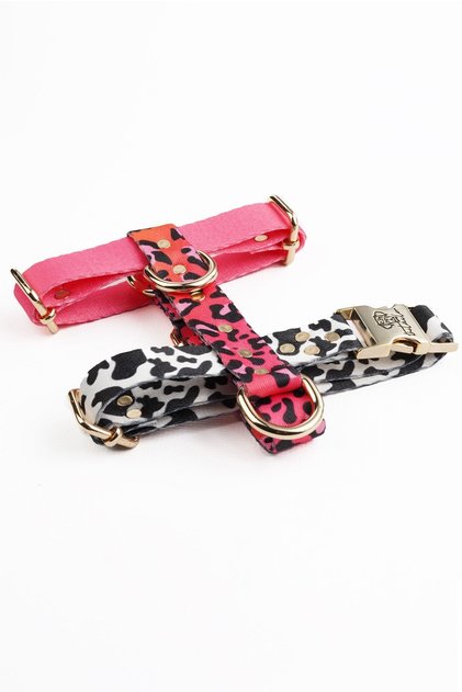 The Tailor Candy Mix Chest Collar