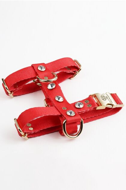 The Tailor Red Stone Dog Collar