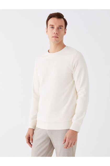 Crew Neck Long Sleeve Men's Thick Sweatshirt (W3)
