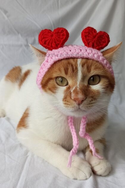 Kırmızı Kalpli Bandana Şık Örgü Kedi Köpek Şapkası Evcil Hayvan Şapkası Pet Aksesuarları