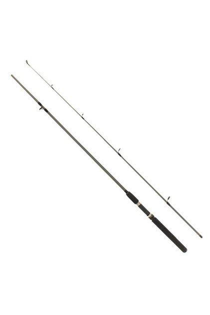 Flex Spin 165cm 10-30g 2 Parça Spin Kamışı