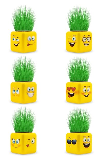 Grass Man Licensed Grass Cube Set of 6