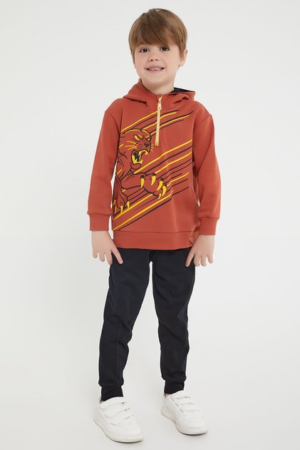 Rolypoly Collar Zippered Cinnamon Men's Tracksuit Set