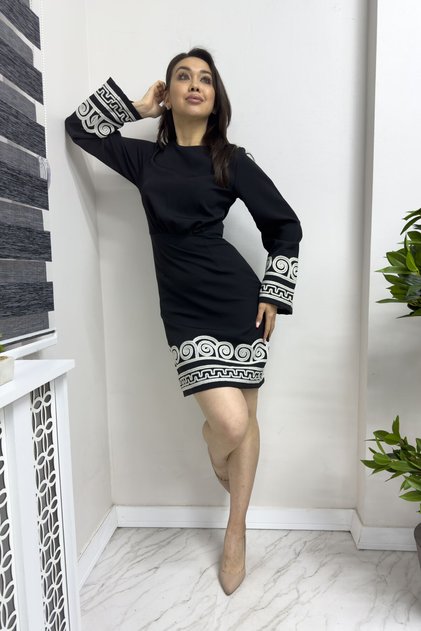 Women's Long Sleeve Embroidery Embroidered Dress Beige, Black