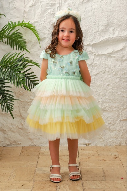 Multi-Color Butterfly Embroidered Tutu Skirt for Girls - Evening Dress with Accessories as a Gift