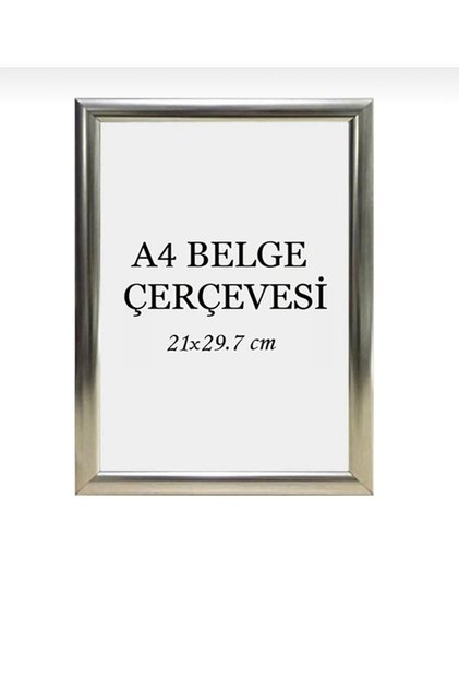 21x30 Fotoğraf Resim Poster Sertifika Çerçevesi