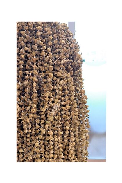Kuru Çiçek Bamya 500gr – Bağ