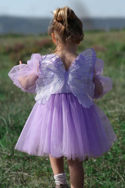 Girl Baby Girl Kids Birthday Party Wedding Dress With Tulle Tutu Lining Children's Clothing baby clothing Elbuznk