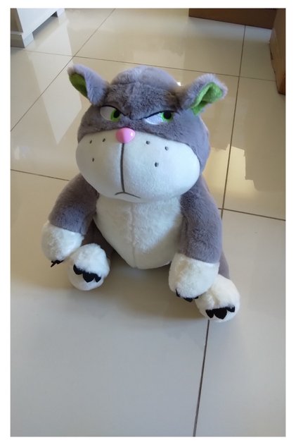 Kızgın Kedi Sabri