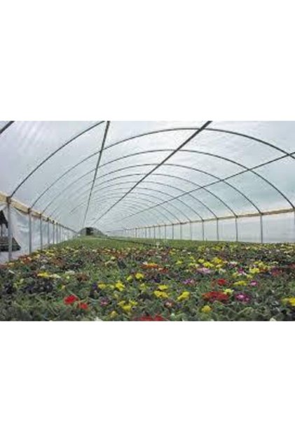 36 Aylık Sera Naylonu 360 Mikron Uv - Eva-ır-ao-ae Katkılı8 X10