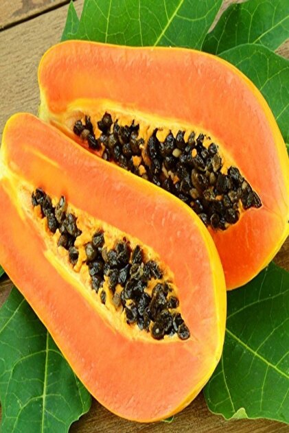 Bilgarden Tüplü Papaya(ağaç Kavunu) Fidanı(150-250 Cm) Meyve Verme Yaşında - 2