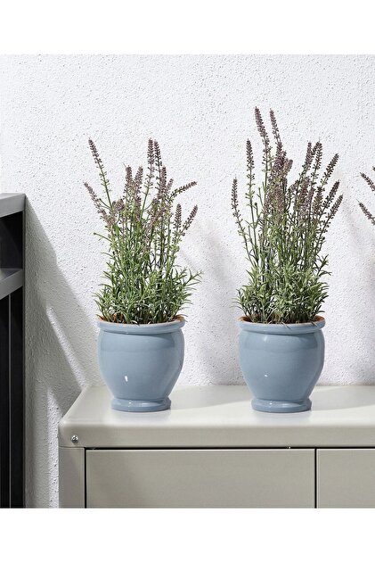 succulent arrangements in pots Artificial Assorted Succulent Plant Arrangement in Round White Plant Pot