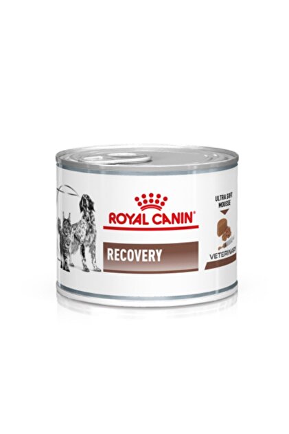  Canin Recovery Convalescence 23本 Royal CANIN RECOVERY YAŞ MAMA -KEDİ VE KÖPEK İÇİN - Fiyatı, Yorumları