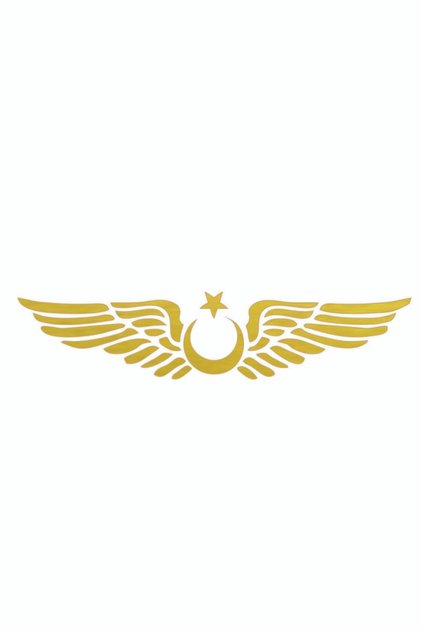 Ay Yıldız Kanatlı Türk Bayrağı Oto Kapı Cam Kaput Sticker - 30cm