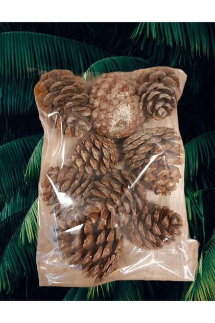Pine Cone 9 Pieces Natural Decorative Ornamental Cone