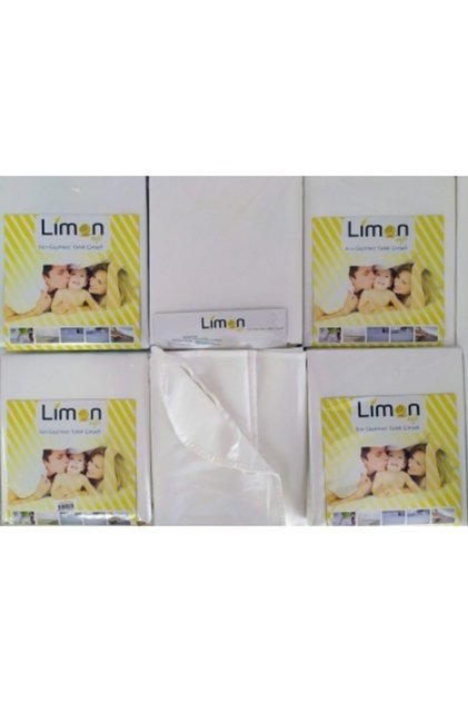 Single Waterproof Mattress Protector with Special Fabric Raincoat