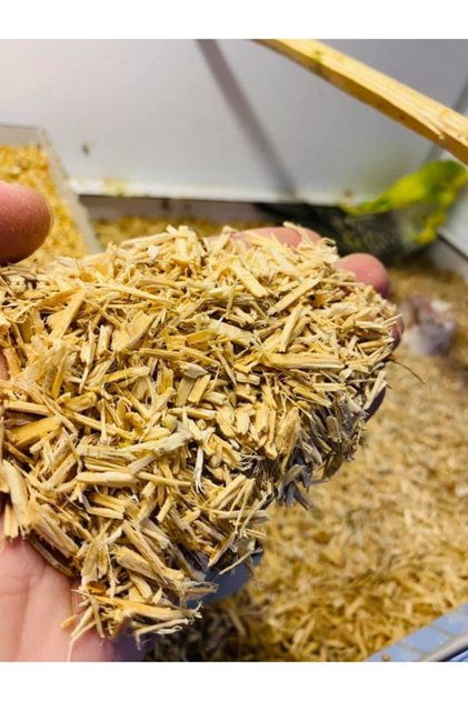 Doğal Reçineli Yuvalık Ve Taban Malzemesi 1 Kg