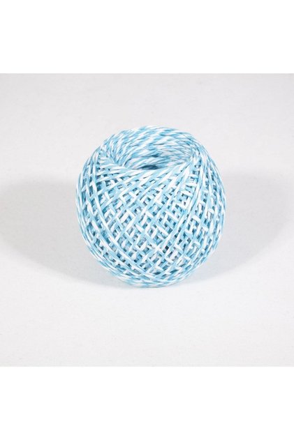 Paper Rope - White & Blue 50 Meters