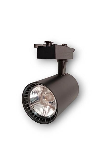 30w Ray Spot Siyah Kasa(gün Işığı)