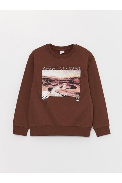 Long sleeve boy sweatshirt with crew neck print