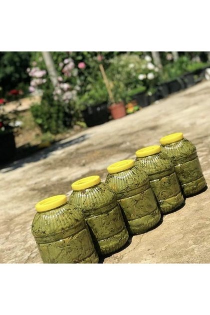 Sultanıye Salamura Yaprak 3,5 Lt Ince Ve Damarsız