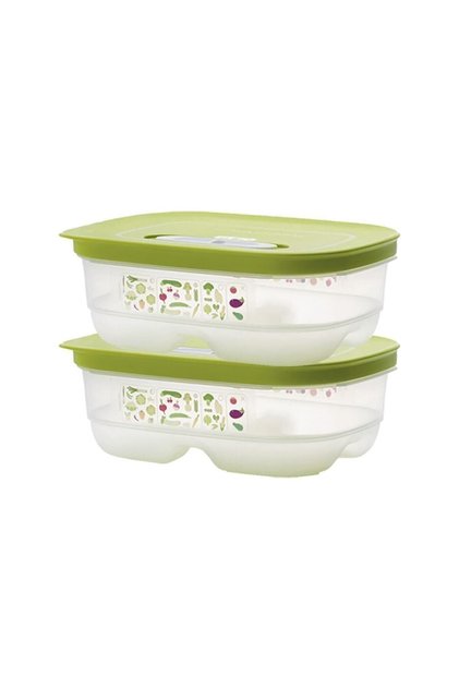 Tupperware Greenhouse Refrigerator Storage Container 2 X 800 ml