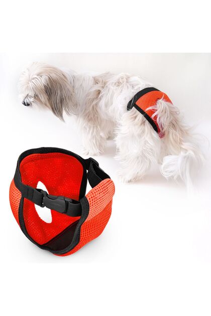Funny And Furry Köpek Regl Külodu, Sanitary Pants, Köpek Pedi, Regl Külot