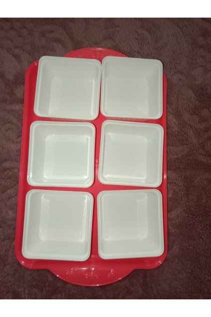 Pomegranate Flower Colored Plastic Tray with Plastic Lid and 6 Breakfast Plates