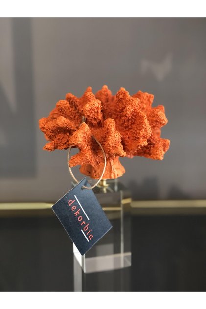 Dekoratif Turuncu Mercan