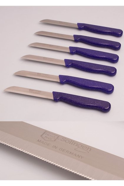 Meyve Ve Sebze Bıçağı Tırtıklı 6 Adet Mor Simli