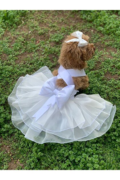 aria pet butik Dog Cat Dress Wedding Dress Evening Dress Special Day Design  Outfit- Trendyol