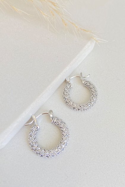 Round Zircon Stone Steel Hoop Earrings