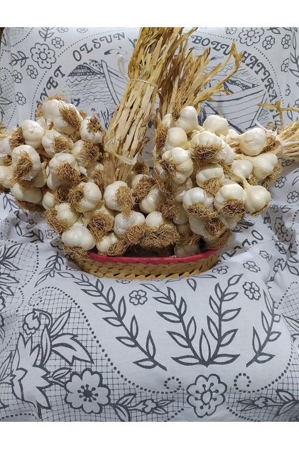 Taşköprü Sarımsağı Doğal Kastamonu Saplı Sarımsak Küçük Boy (2 KG)