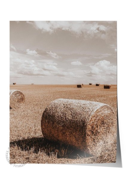 Rustic Çerçevesiz Poster, İskandinav Kahverengi Tablo, NO:20 Tarlada Saman Balyası Fotoğraf, Dikey