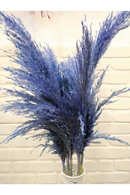 Şoklanmış Mavi Pampas 100cm 10'lu
