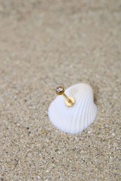 Piercing Cerrahi Çelik Piercing Zirkon Taşlı Kıkırdak Tragus Conch Gold Renk Tek Taşlı Klasik
