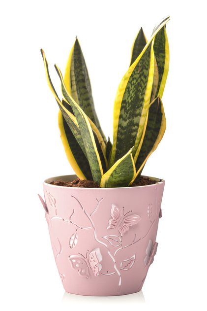 1,4 Litre Pembe 3d Kelebek Desenli Su Hazneli Dekoratif Plastik Saksı No1 Ø14,5x13,3cm