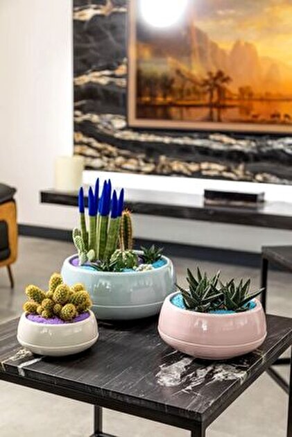 ToXA Elvan Aranjman Saksı 4,8 Litre Soft Pembe 33cm Menekşe Kaktüs